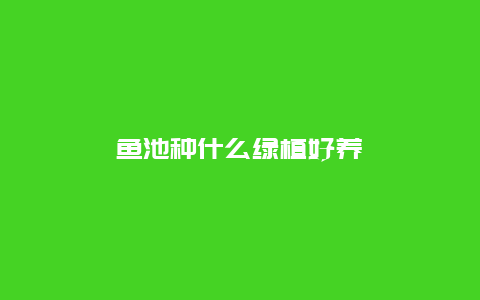 鱼池种什么绿植好养