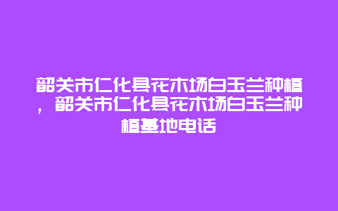 韶关市仁化县花木场白玉兰种植，韶关市仁化县花木场白玉兰种植基地电话