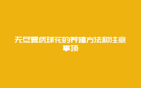 无尽夏绣球花的养殖方法和注意事项