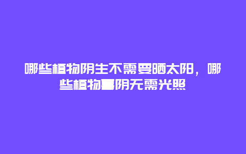 哪些植物阴生不需要晒太阳，哪些植物喜阴无需光照