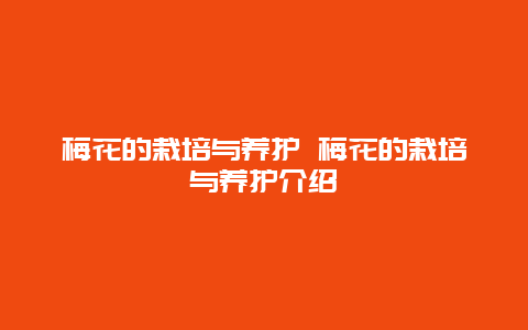 梅花的栽培与养护 梅花的栽培与养护介绍