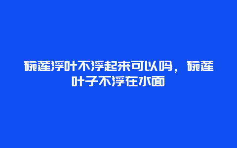 碗莲浮叶不浮起来可以吗，碗莲叶子不浮在水面