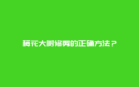 梅花大树修剪的正确方法？