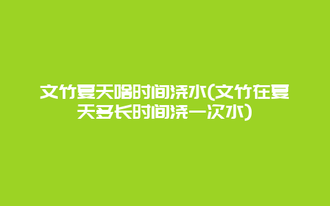 文竹夏天啥时间浇水(文竹在夏天多长时间浇一次水)