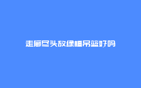 走廊尽头放绿植吊篮好吗