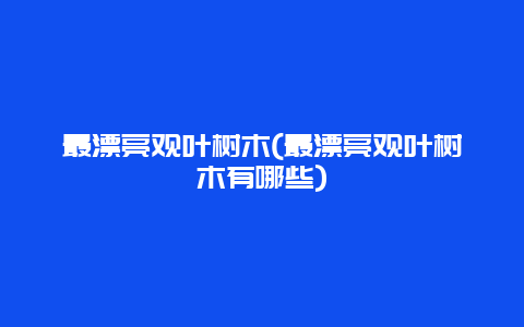 最漂亮观叶树木(最漂亮观叶树木有哪些)