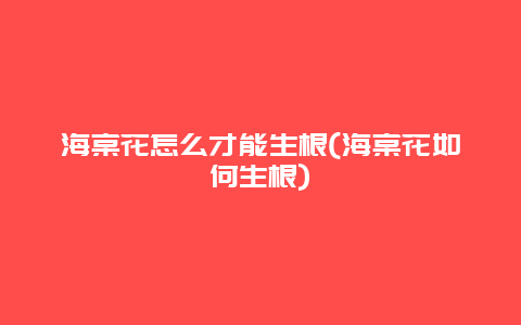 海棠花怎么才能生根(海棠花如何生根)