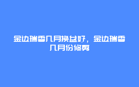 金边瑞香几月换盆好，金边瑞香几月份修剪