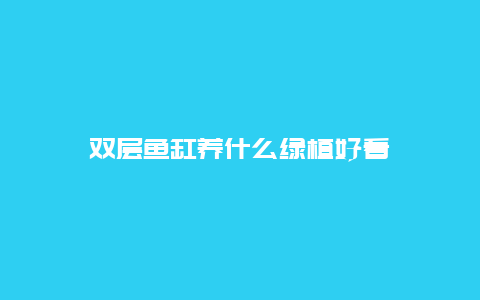 双层鱼缸养什么绿植好看