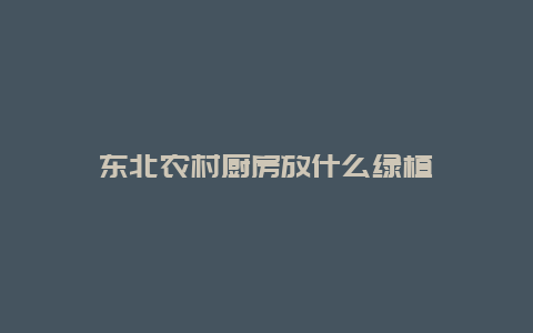 东北农村厨房放什么绿植