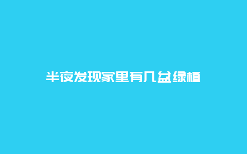 半夜发现家里有几盆绿植