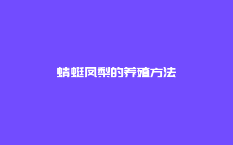 蜻蜓凤梨的养殖方法