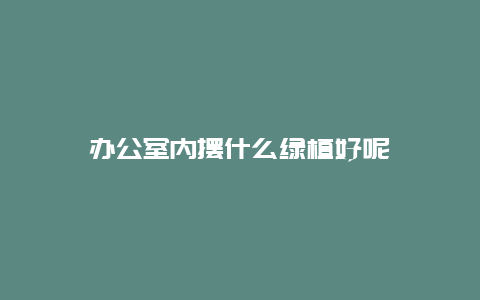 办公室内摆什么绿植好呢