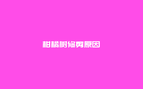 柑橘树修剪原因