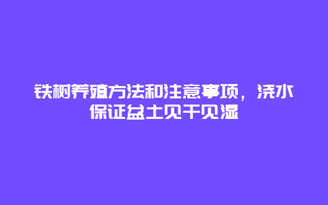 铁树养殖方法和注意事项，浇水保证盆土见干见湿