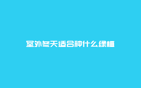 室外冬天适合种什么绿植