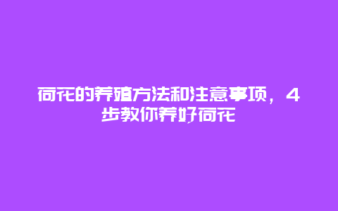 荷花的养殖方法和注意事项，4步教你养好荷花