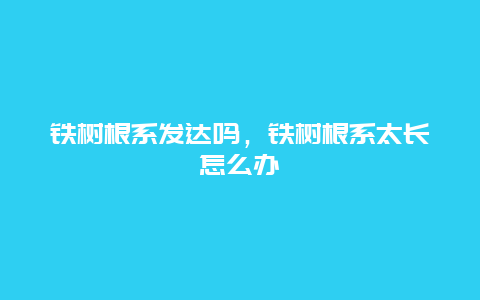 铁树根系发达吗，铁树根系太长怎么办