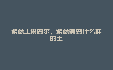 紫藤土壤要求，紫藤需要什么样的土