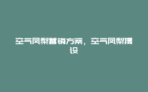 空气凤梨营销方案，空气凤梨摆设