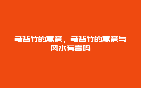 龟背竹的寓意，龟背竹的寓意与风水有毒吗