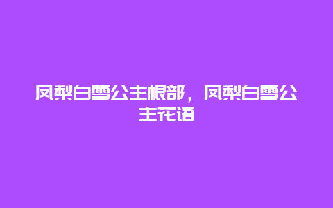 凤梨白雪公主根部，凤梨白雪公主花语