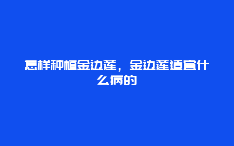 怎样种植金边莲，金边莲适宜什么病的