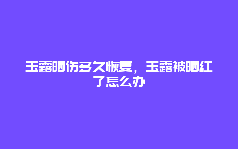 玉露晒伤多久恢复，玉露被晒红了怎么办