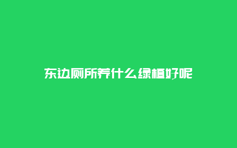 东边厕所养什么绿植好呢