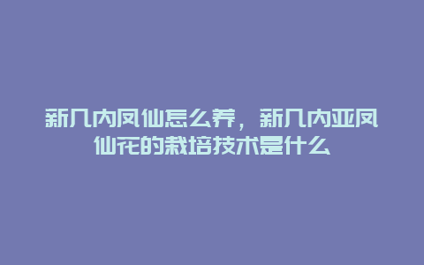 新几内凤仙怎么养，新几内亚凤仙花的栽培技术是什么