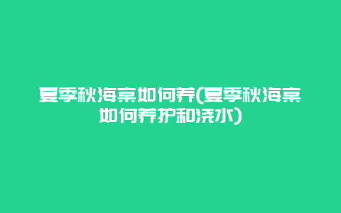 夏季秋海棠如何养(夏季秋海棠如何养护和浇水)