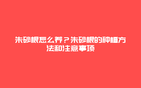 朱砂根怎么养？朱砂根的种植方法和注意事项