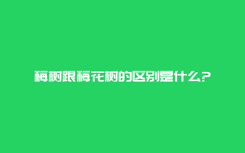 梅树跟梅花树的区别是什么?