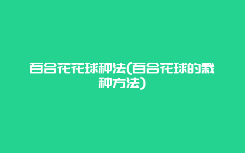 百合花花球种法(百合花球的栽种方法)