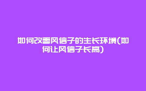 如何改善风信子的生长环境(如何让风信子长高)