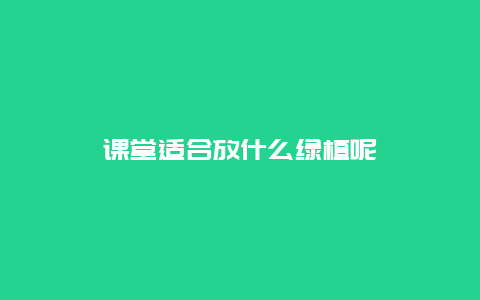 课堂适合放什么绿植呢