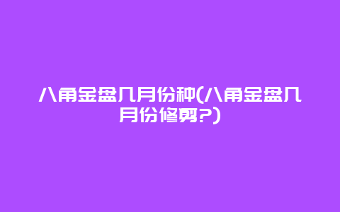 八角金盘几月份种(八角金盘几月份修剪?)