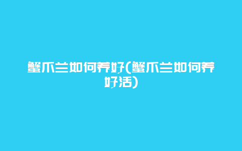 蟹爪兰如何养好(蟹爪兰如何养好活)