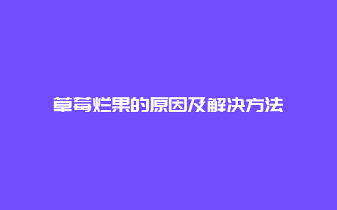 草莓烂果的原因及解决方法