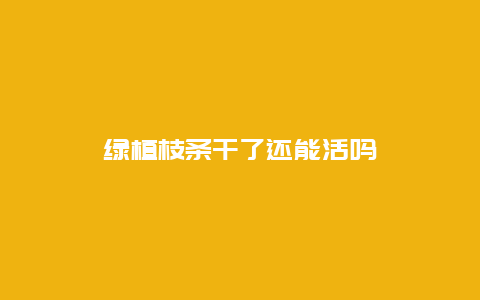 绿植枝条干了还能活吗