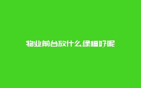 物业前台放什么绿植好呢