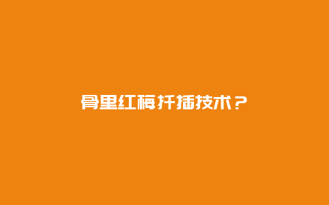 骨里红梅扦插技术？