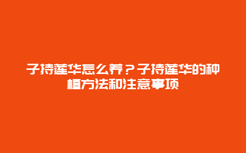 子持莲华怎么养？子持莲华的种植方法和注意事项