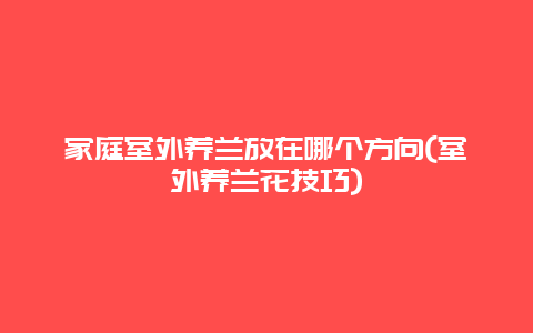 家庭室外养兰放在哪个方向(室外养兰花技巧)