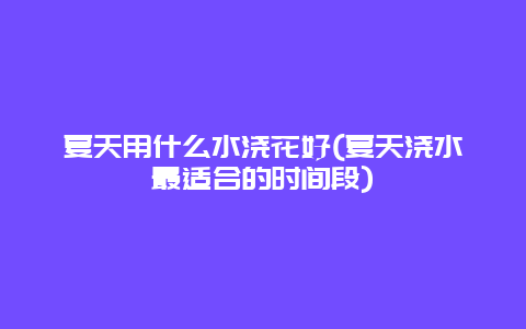 夏天用什么水浇花好(夏天浇水最适合的时间段)