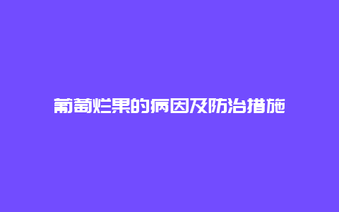 葡萄烂果的病因及防治措施