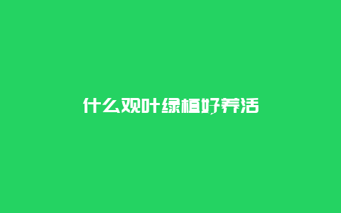 什么观叶绿植好养活