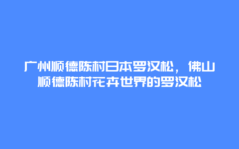 广州顺德陈村日本罗汉松，佛山顺德陈村花卉世界的罗汉松