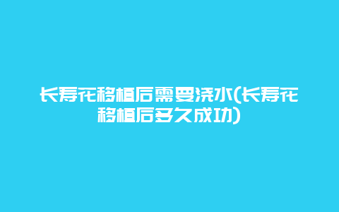 长寿花移植后需要浇水(长寿花移植后多久成功)