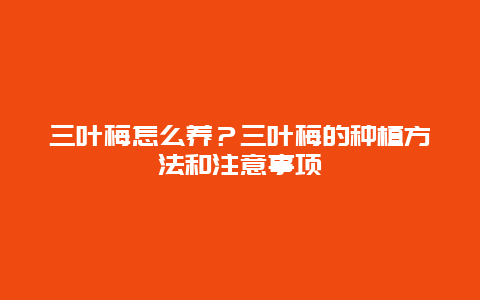 三叶梅怎么养？三叶梅的种植方法和注意事项